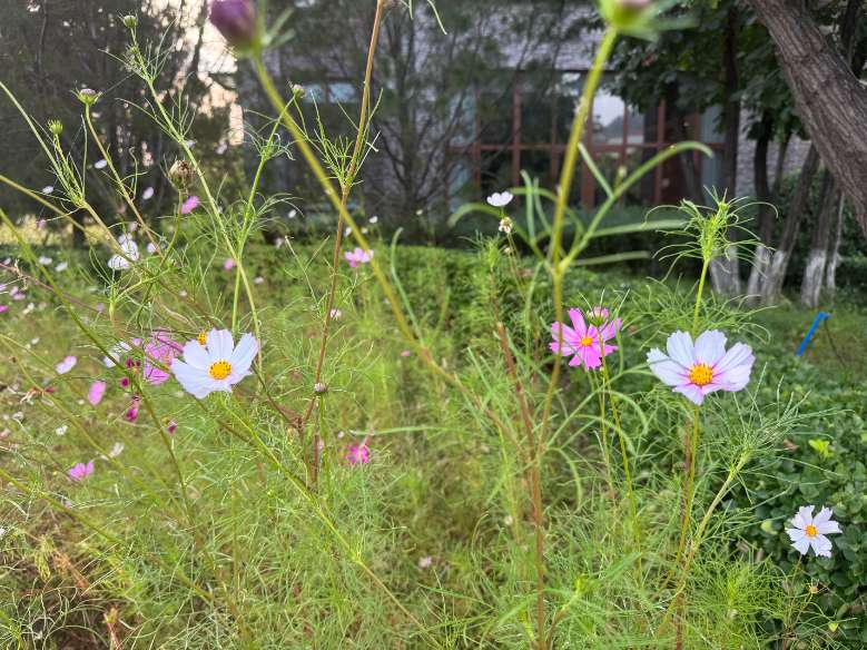 1757899005270869.jpg 微信图片_20250914164818_18_19.jpg